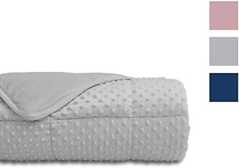 Alansma Weighted Blanket for Adult Minky Velvet Warm Luxury Designer Blanket | Enjoy Quality Sleep Anywhere (Grey, 60''x80'' 20lbs)