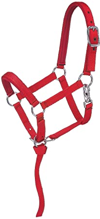 Tough 1 Nylon Padded Miniature Halter