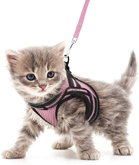 rabbitgoo Cat Harness and Leash Set for Walking Escape Proof, Adjustable Soft Kittens Vest with Reflective Strip for Extra Small Cats, Step-in Comfortable Outdoor Vest Harness, Pink, Medium