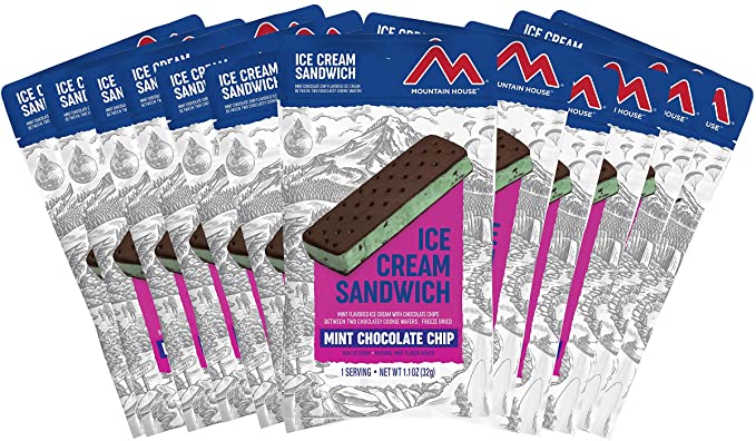 Mountain House Mint Chocolate Chip Ice Cream Sandwich | Freeze Dried Backpacking & Camping Food