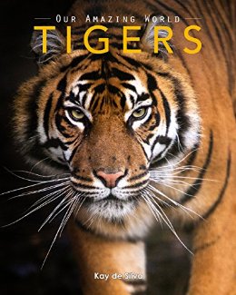 Tigers: Amazing Pictures & Fun Facts on Animals in Nature (Our Amazing World Series Book 10)