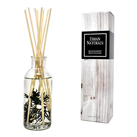 Urban Naturals Cranberry & Pine Holiday Wreath Reed Diffuser with Real Pine Needles | Holly Berry & Frosted Fir Needles | Home Gift Idea. Vegan.