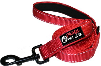 Dog Leash - Extra Heavy Duty - Thick 3mm Nylon - 6ft Long - Premium Quality - 1" Wide - Reflective - Padded Handle - Perfect for Large - Medium or Strong Small Dogs - Lightweight