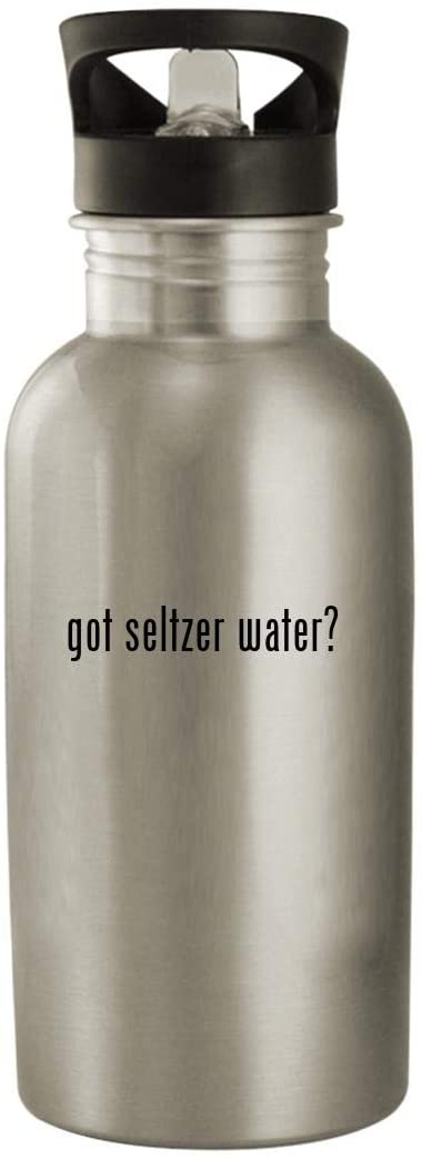 got seltzer water? - Stainless Steel 20oz Water Bottle, Silver