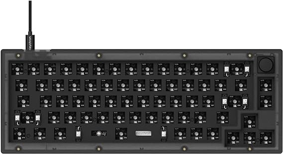 Keychron V2 Wired Custom Mechanical Keyboard Barebone Knob, 65% Layout QMK/VIA Programmable Macro with Hot-swappable Support Compatible with Mac Windows Linux (Frosted Black - Translucent)