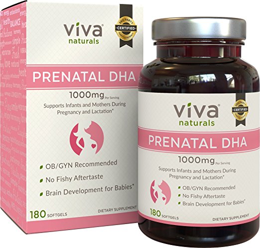Viva Labs - The BEST Doctor Recommended DHA for Your Pregnancy, 500 mg, 120 Softgels