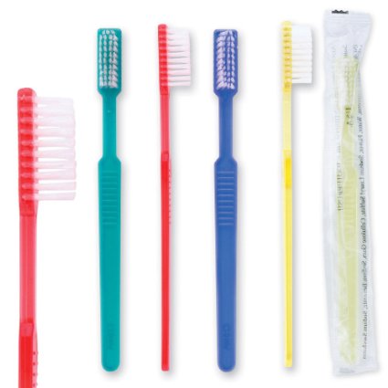 Adult Pre-Pasted Disposable Toothbrushes - 144 per pack