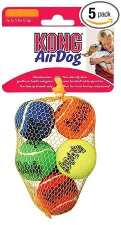 KONG Air Dog Squeaker Fetch Toy - XS (5 Count)