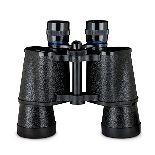 Truefabrications Binoculars Flask, Metallic