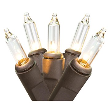 Set of 20 Clear Mini Christmas Lights - Brown Wire