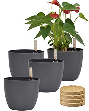 6'' Self Watering Planter Pots with Coco Soil for Home Garden Outdoor Indoor Office Modern Decorative Flower Pots for All House Plants Flowers Herbs Succulents (Grey)