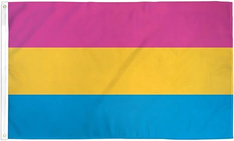 AZ FLAG Pansexual Flag 2' x 3' - pansexuality Flags 60 x 90 cm - Banner 2x3 ft