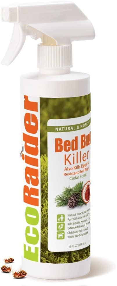EcoRaider Bed Bug Killer Spray 16 Oz, Green + Non-toxic, 100% Kill + Extended Protection