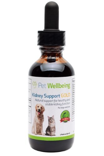 Kidney Support Gold - Herbal Supplement for Dogs with Kidney Disease & Renal Failure - 2 oz/59ml Liquid Bottle