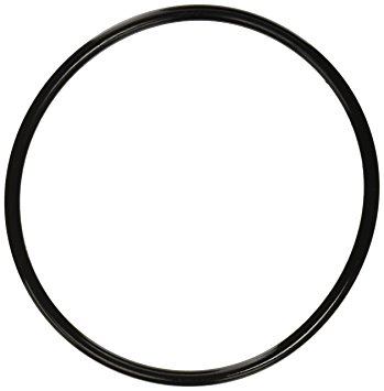 Pentair 350013 Lid O-Ring Replacement Pool and Spa Pump