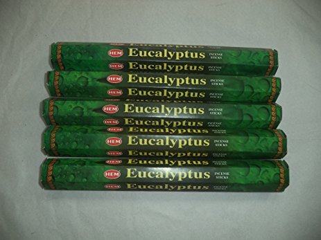 HEM Eucalyptus 100 Incense Sticks (5 x 20 stick packs)