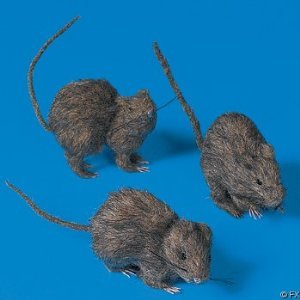 Realistic Hairy Rats for Halloween -3 Piece Set by Fun Express