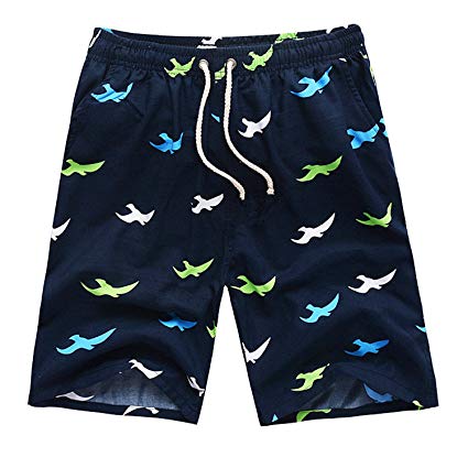 Justay Mens Printing Quick Dry Beach Shorts Swim Trunk