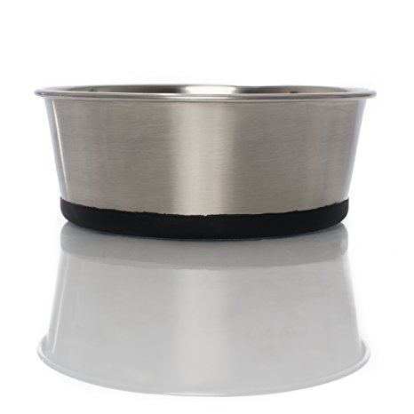 Food Grade Stainless Steel Pet Food & Water Bowl with Non-Skid Silicone Bottom, Beautiful Modern Design, Dishwasher-Safe