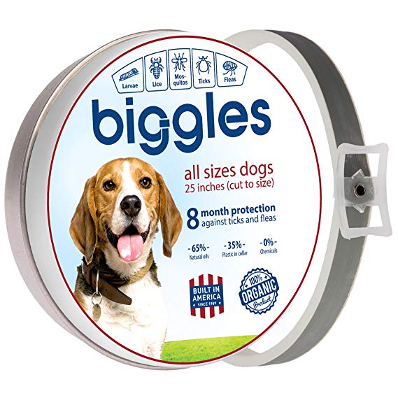 Biggles Safe and Effective Pet Collar Pest Control Collars with Essential Oil Prevention for Dogs and Puppies Dog Treatment 25 inches 8 Months Protection One Size Fits All