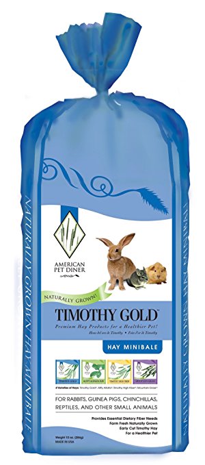 Timothy Gold Hay, Blue