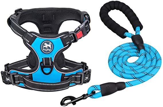 PoyPet Dog Harness and Leash Combo, Escape Proof No Pull Vest Harness, Reflective Adjustable Soft Padded Pet Harness with Handle for Small to Large Dogs(Blue,L)