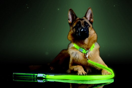 [Pet Industries] Premium LED Reflective Dog Leash- USB Rechargeable