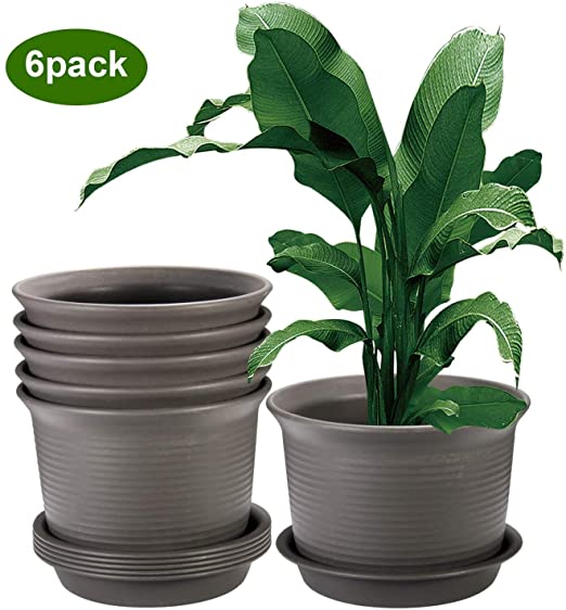 ZOUTOG Plant Pots, 9.5 Inch Flower Pots Outdoor, Large Plastic Planters with Drainage Hole and Tray, Pack of 6, Plants not Included