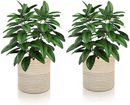 Lubasket Cotton Rope Plant Basket Modern Woven Baskets Pot Indoor Planter Up to 8 Inch Pot Storage Organizer Basket Rustic Home Décor (A-2 Pack, 8.5 in)