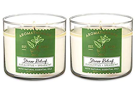 Bath and Body Works Aromatherapy 3 Wick Candle, 14.5 Oz, Eucalyptus Spearmint (2 Pack)