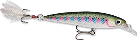 Rapala X-Rap Jerkbait XR10 Fishing Lure