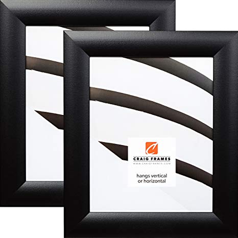 Craig Frames WB3 13 x 19 Inch Picture Frame, Black, Set of 2