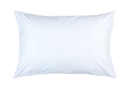 Zip and Block Anti Allergen, Hypoallergenic, Bed Bug Proof Breathable Waterproof Pillow Encasing, White, Queen