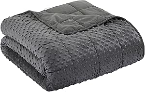 WAIBIO Weighted Blanket for Adults, Comfortable and Soft Throw Weighted Blanket with Premium Glass Beads for All Season 15 lbs 60"x80", Dark Grey