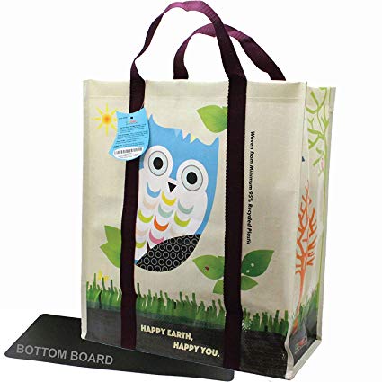 EcoJeannie 5 pack Super Strong X-Large Laminated Woven Reusable Shopping Tote Bag (Avail: Set of 1,2,3,4,5 Bags), Free Standing, Recycled Plastic w/Bottom Board & Reinforced Nylon Handle - WTS051