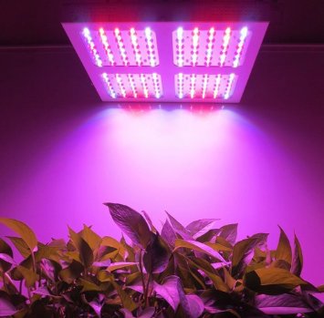 MAGIOVE 400W LED Growing Lights for Indoor Gardening & Hydroponics Plants Flowers Vegetables Greenhouse Grow Lamp