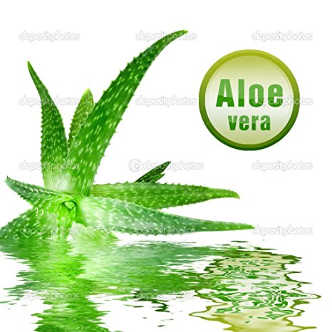 Aloe Vera Gel 1kg