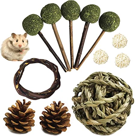 kathson Hamster Chew Toys Guinea Pig Teeth Grinding Care Molar Treats Small Animals Chewing Herbage Lollipop Natural Apple Sticks Cage Accessories for Rabbit Bunny Chinchillas Squirrels Gerbil 12 PCS