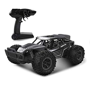 RC Car, LBLA Newest 2.4 GHz High Speed Remote Control Car 1/16 Scale Off Road RC Trucks, Racing Toy Car for All Adults and Kids(Black)