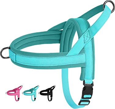 Beirui No Pull Dog Harness for Small Dogs Puppies, Soft Neoprene Quick Fit Harness with Durable Front Clip & Back Clip, Lightweight Easy for Daily Walking (Blue,XS)