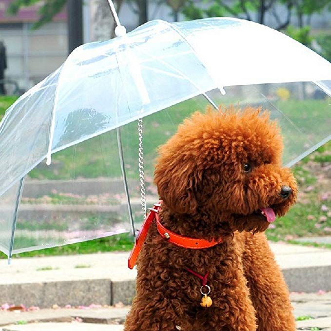 Pet Dog Umbrella Transparent Waterproof Keeps your Pet Dry Comfortable in Rain