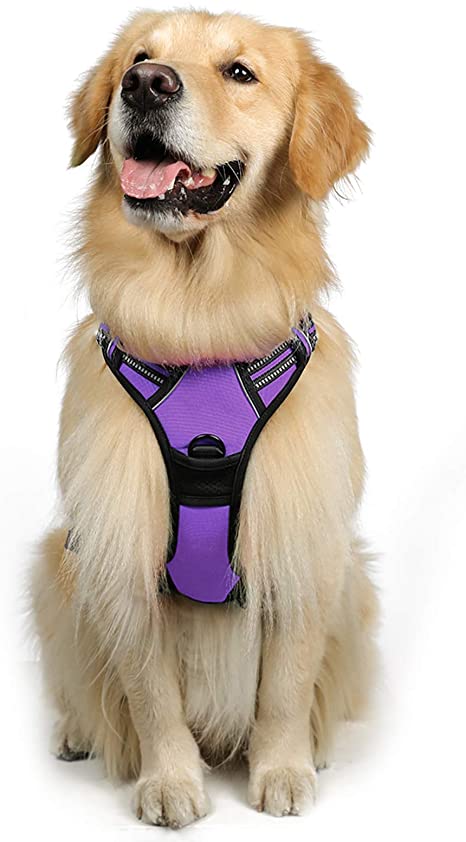 rabbitgoo Dog Harness, No-Pull Pet Harness with 2 Leash Clips, Adjustable Soft Padded Dog Vest, Reflective No-Choke Pet Oxford Vest with Easy Control Handle for Large Dogs, Purple, L, Chest 20.5-36"