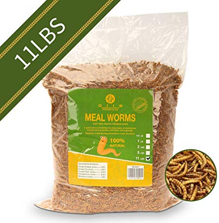 diig Non-GMO Dried Mealworms - Treats for Birds Chickens Hedgehog Hamster Fish Reptile Turtles, 11 lb