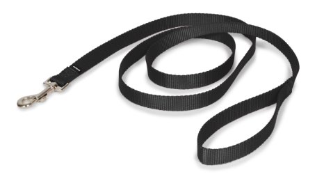 PetSafe Leash