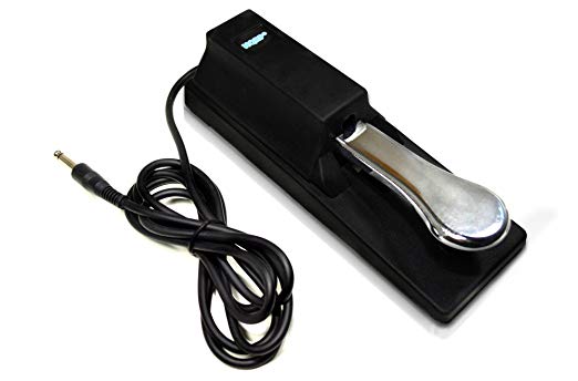 HQRP Sustain Pedal works with Casio CTK-2090 CTK-2400 CTK-4200 CTK-4400 CTK-2000 CTK-2080 CTK-2100 CTK-2200 CTK-2300 CTK-3000 CTK-3200 CTK-451 CTK-471 CTK-481 CTK-710 CTK-720 CTK-800 Keyboard  Coaster