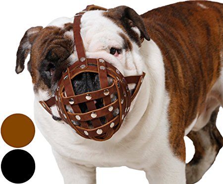 Basket Dog Muzzle for Boxer, English Bulldog , American Bulldog Secure Leather Muzzle