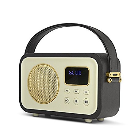 MVMT Retro Leather Texture Portable Wireless Bluetooth Speaker with Rich Bass Subwoofer and FM Radio (Black and Gold)