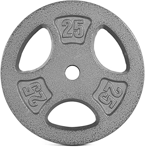 WF Athletic Supply Cast Iron 1-Inch Standard Grip Plate for Strength Training, Muscle Toning, Weight Loss & Crossfit - Multiple Choices Available