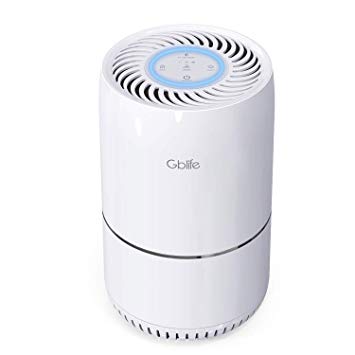 GBlife Air Purifier for Home, 3 Stage True HEPA Filter Air Cleaners for Smokers, Allergies and Pets, Dust Mold Odor Eliminator with Night Light Quiet for Office Bedroom