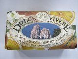 Nesti Dante Dolce Vivere Capri Bar Soap 250 Grams
